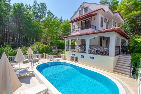 Muğla Hisaronu Brookland Paris Villa with Pool - Nokta Villa